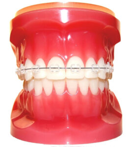 ortodonta sopot